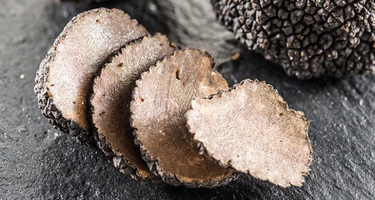 Crostini Al Tartufo Nero Pregiato Museo Del Tartufo Di Acqualagna